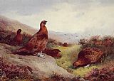 Archibald Thorburn Famous Paintings - Autumn Glory